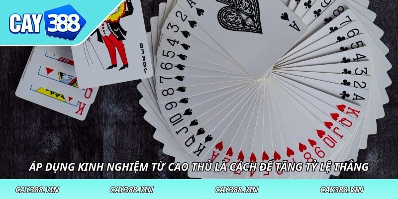 Áp dụng kinh nghiệm từ cao thủ là cách để tăng tỷ lệ thắng