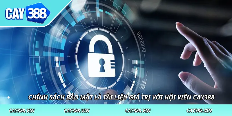 Chính sách bảo mật là tài liệu giá trị với hội viên CAY388