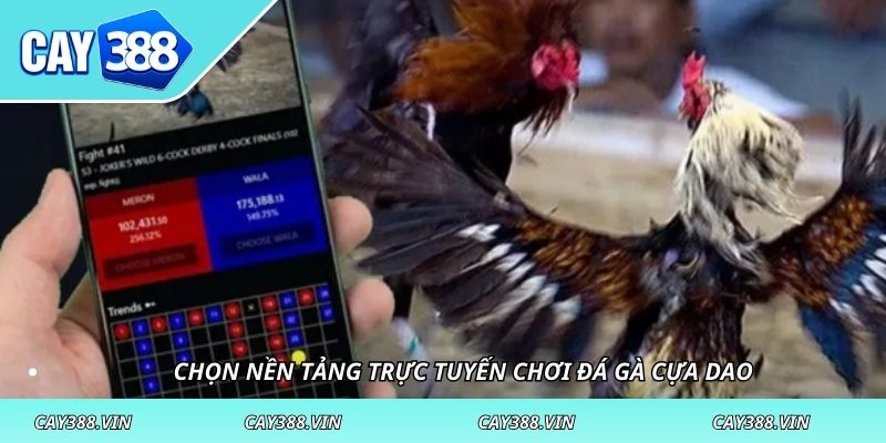 Chọn nền tảng trực tuyến chơi đá gà cựa dao