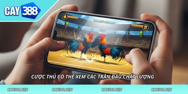 Cược thủ có thể xem các trận đấu chất lượng