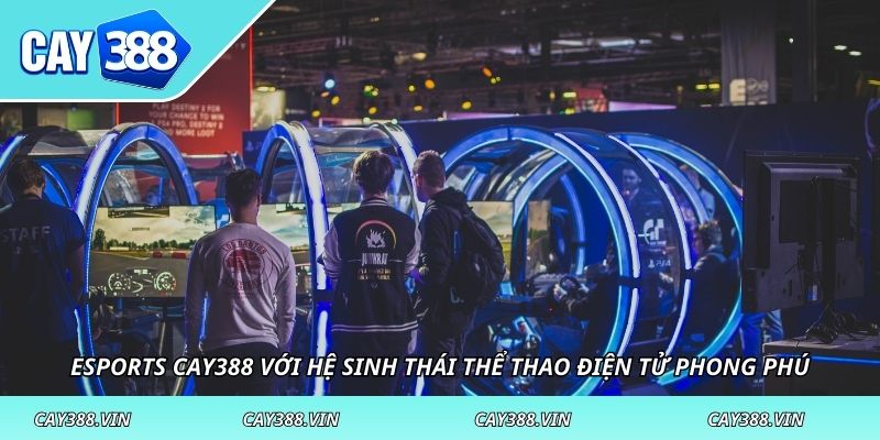 Esports CAY388 với hệ sinh thái thể thao điện tử phong phú