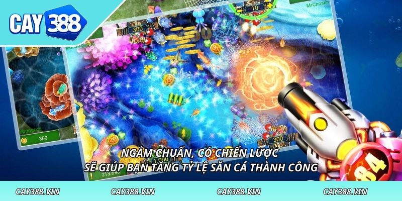 Ngắm chuẩn, có chiến lược sẽ giúp bạn tăng tỷ lệ săn cá thành công