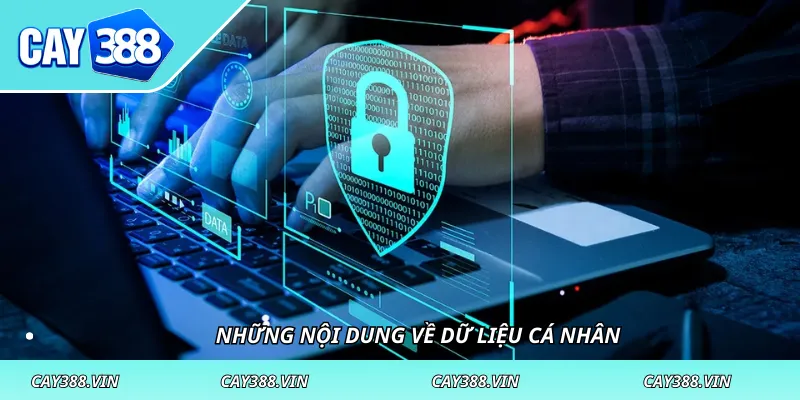 Những nội dung về dữ liệu cá nhân