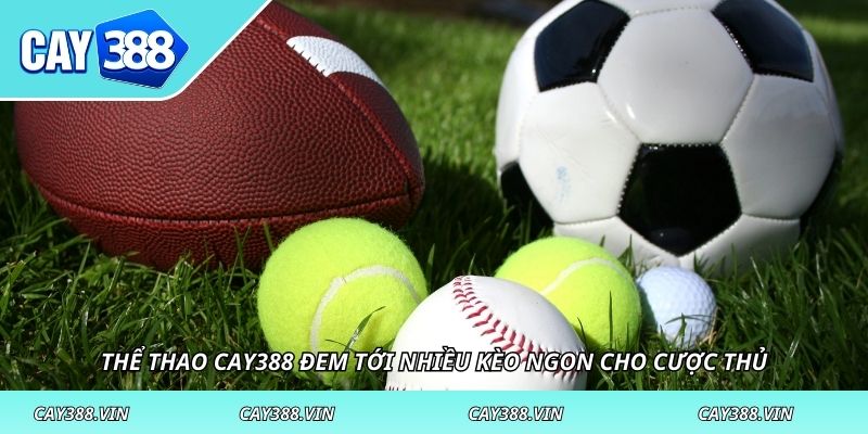 Thể thao CAY388 đem tới nhiều kèo ngon cho cược thủ