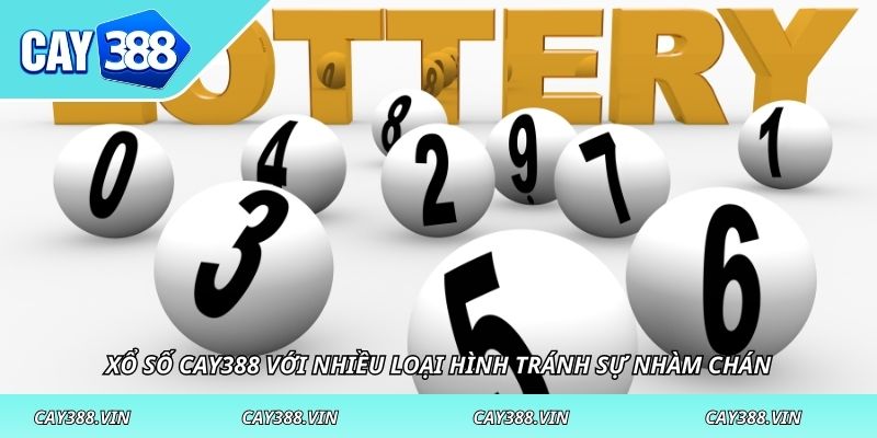 Xổ số CAY388 với nhiều loại hình tránh sự nhàm chán